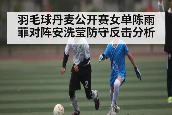 羽毛球丹麦公开赛女单陈雨菲对阵安洗莹防守反击分析